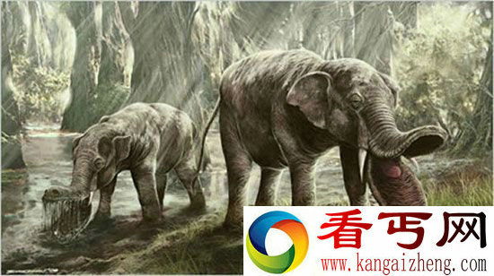 寻找血亲盘点现代动物的远古史前生物祖先