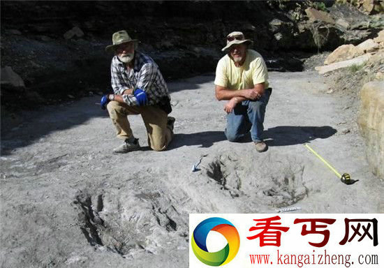 一亿年前恐龙如何示爱虐单身狗?答案挖个坑