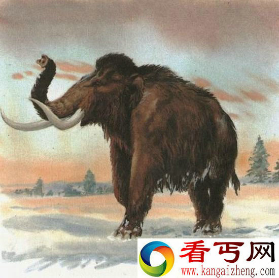 猛犸灭绝