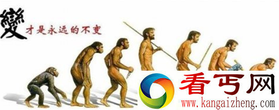 自然界最高智商动物 猪竟然比人聪明?