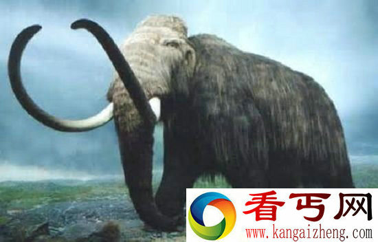 十种重现人间的灭绝动物 动物界的起死回生