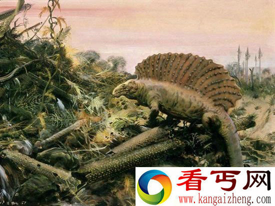 地球第六次生物大灭绝来了!人类也逃不了