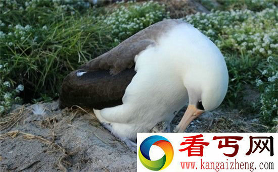 你说什么!怀个孕竟然要3年 64岁还能生孩子