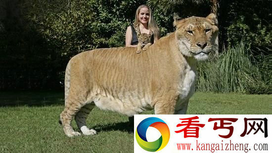 世界十大著名杂交动物盘点原来它也是