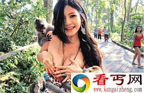 动物袭击人类十大著名事件 台湾乳娘遭色猴袭胸