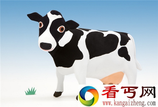 科学家表示奶牛比鲨鱼更恐怖