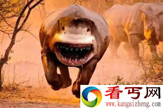 杂交动物界的十大奇葩鲨鱼与犀牛杂交生个啥?
