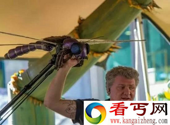 动物中12种巨无霸 巨型蜘蛛大如狗