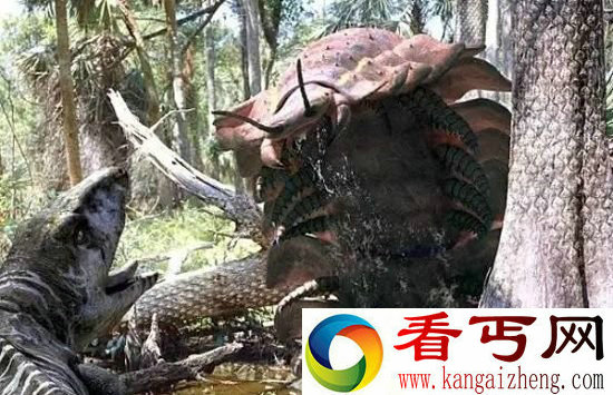 动物中12种巨无霸 巨型蜘蛛大如狗