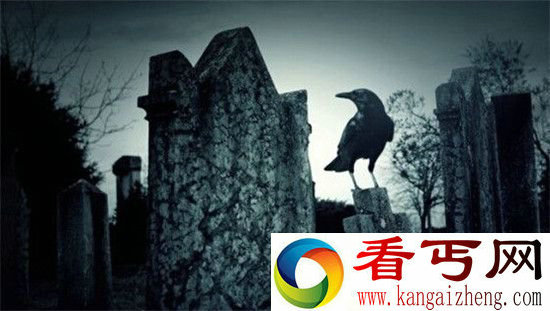 恐怖万圣节 盘点地球史上十大神鸟