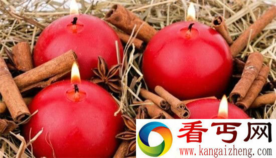 恐怖万圣节 盘点地球史上十大神鸟