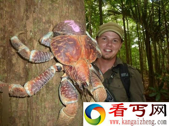 全球十大最罕见动物