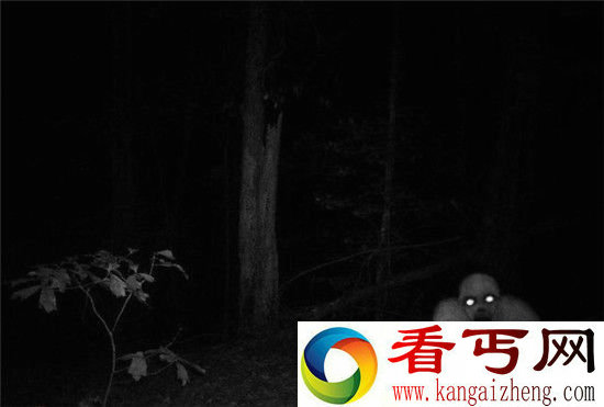 盘点八大最神秘生物 疑似来自外星