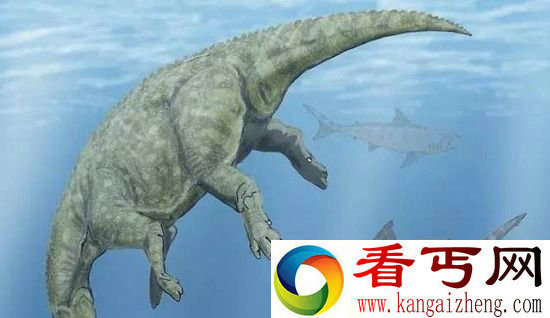 鲨鱼或与恐龙生活同一时代 史前生物的殊死之战