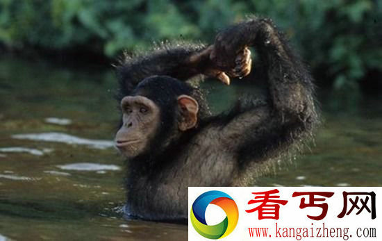 ”特殊记忆力“——动物的“特异功能