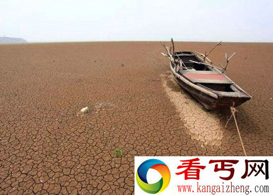 人类第六次大灭绝