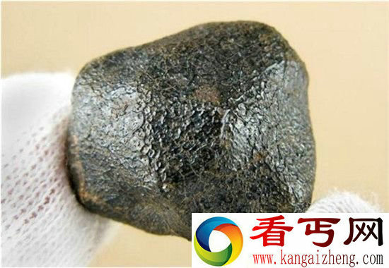 南极陨石为什么那么多?除了陨石还有南极巨虫!