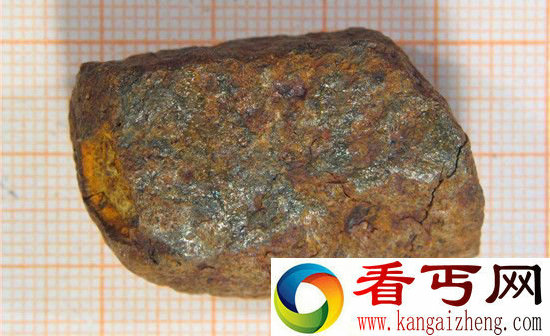 南极陨石为什么那么多?除了陨石还有南极巨虫!