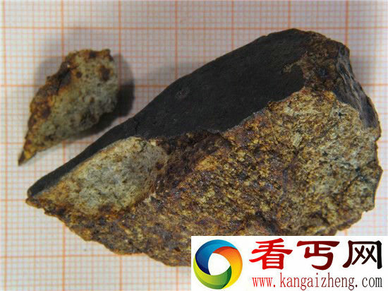 南极陨石为什么那么多?除了陨石还有南极巨虫!