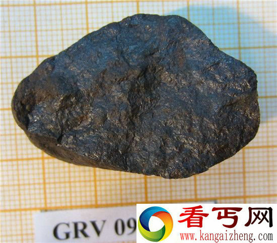 南极陨石为什么那么多?除了陨石还有南极巨虫!