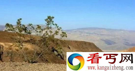 中国的秘密之四大神秘死亡之地