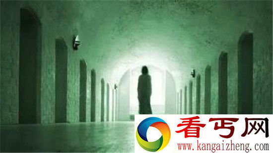 世界十大超自然现象动物也会灵魂出窍?