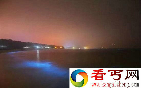 深圳惊现“荧光海”奇景 美妙犹如流动星空