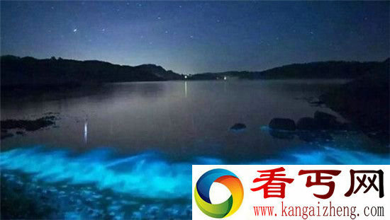 深圳惊现“荧光海”奇景 美妙犹如流动星空