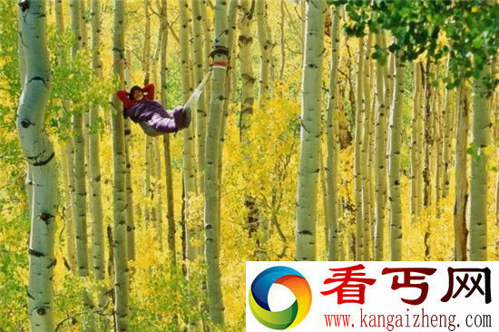 自然地理!跨越地球去睡你 12个惊艳的吊床位置