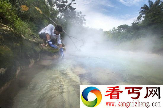 亚马逊丛林现神秘“沸腾河” 活物落入即死
