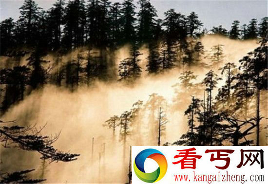 中国十大最恐怖禁地进去以后必死无疑!