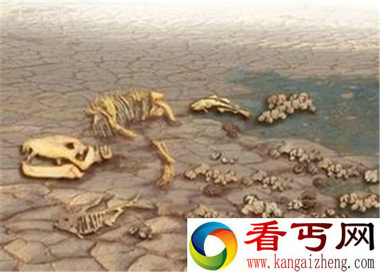 500万年后地球将没有任何生命?