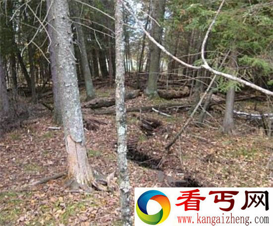 神秘裂缝中传来恐怖金属敲击声 男子看后彻夜未眠!