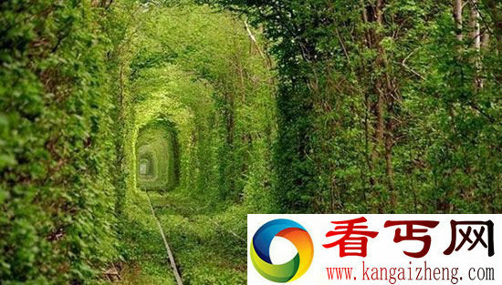 盘点全球五大最美的林荫大道 摄人心魄之美