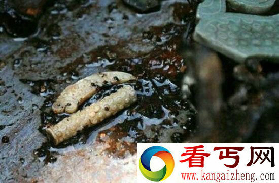 古代陵墓八大险恶机关 墓主与盗墓贼的对决
