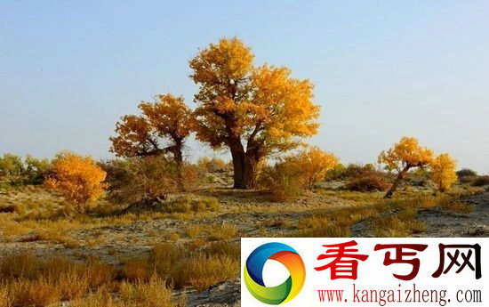 塔里木盆地蕴藏巨大水资源 蓄水量为北美五湖总和10倍