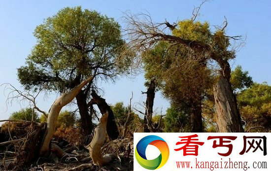 塔里木盆地蕴藏巨大水资源 蓄水量为北美五湖总和10倍