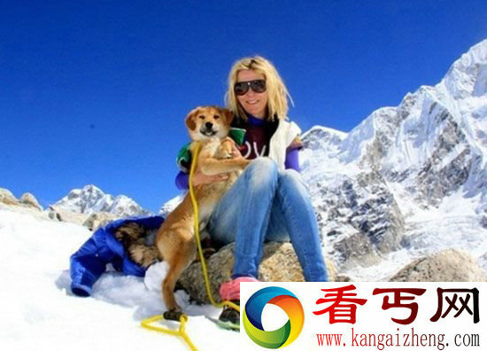流浪狗摇身一变 成世界收治登上珠峰狗狗
