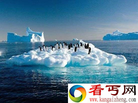 南极大陆冰川深处发现罕见1400万年前新物种