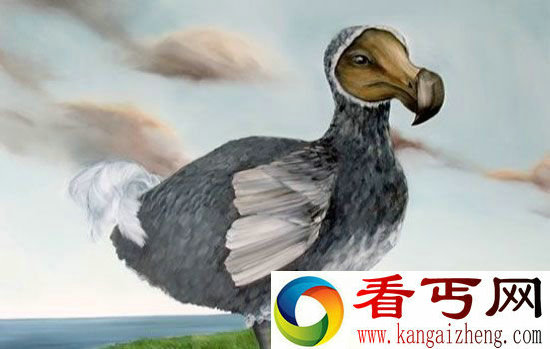 复活24种濒危物种 恐龙不在列