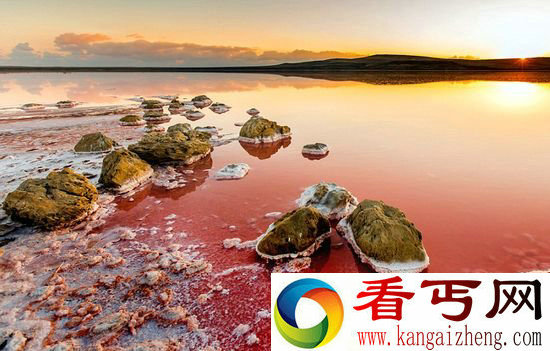 克里米亚粉色盐湖 绝美景色如火星奇境(组图)
