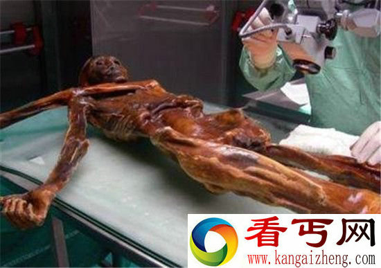 千年木乃伊连环杀人之谜 古老诅咒?
