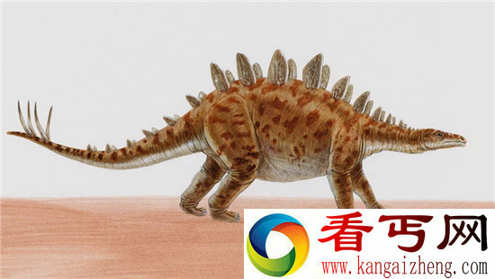 远古蚂蚁曾于恐龙争锋 远古蚂蚁之谜