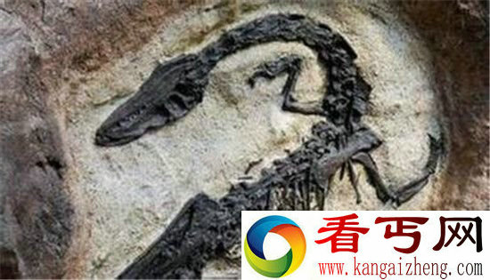 第五次生物大灭绝恐龙 竟是由外星人引起的?