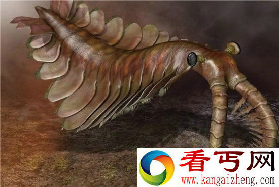 世界十大远古生物大盘点 远古生物大灭绝!