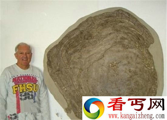 十大远古超级生物大盘点!2.4米长巨型蜈蚣