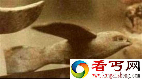 秦始皇陵地宫飞雁是真的吗?项羽曾亲眼看见!
