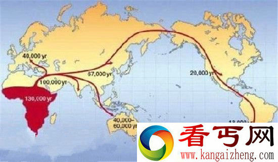 人类进化的秘密谁是第一个原始人?