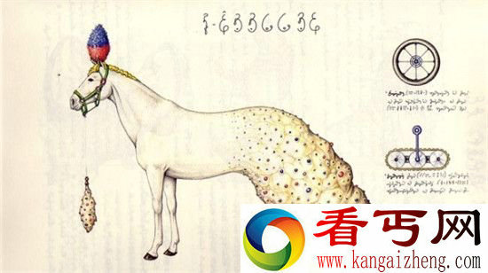 无人能解的神物！世界最看不懂的十大天书