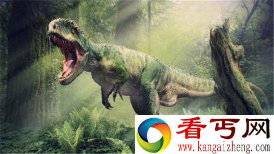 侏罗纪时代动物!史前蜂巢有百万黄蜂 异形生化黄蜂存在吗?